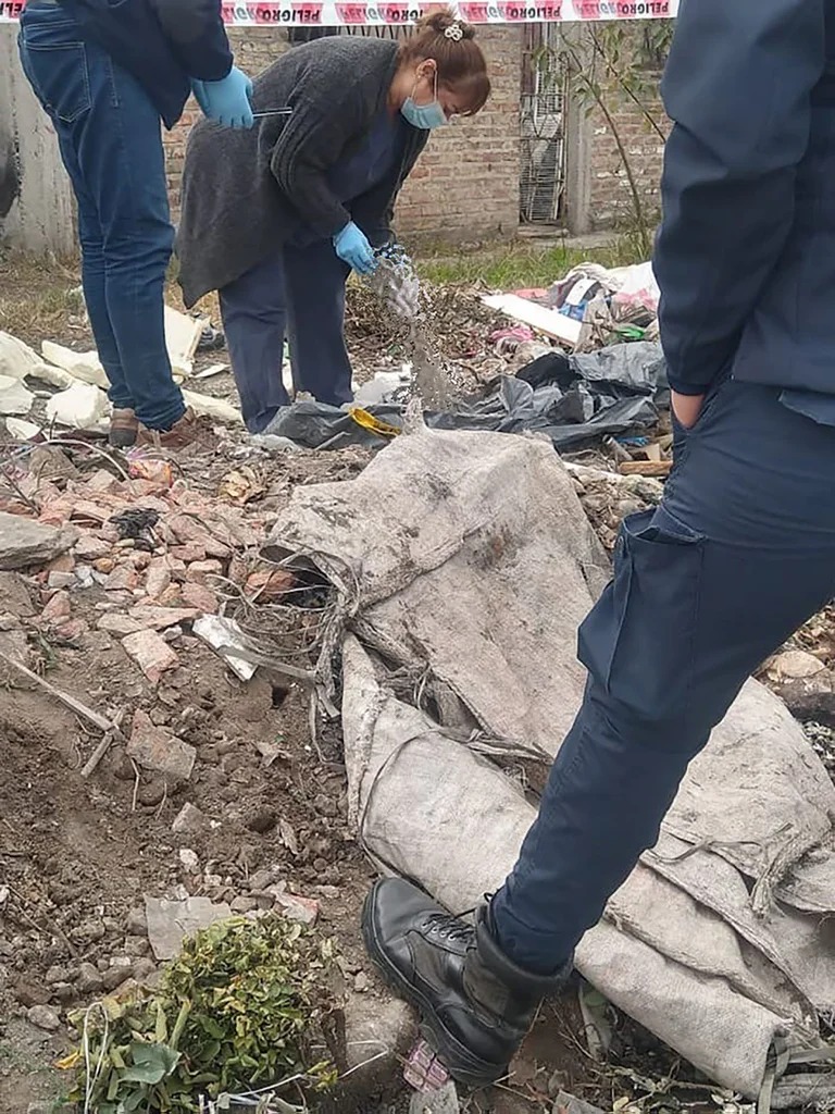 Encontraron Una Cabeza Y Restos Humanos Entre La Basura La Unión Digital 1436