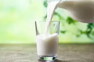 Da Mundial de la Leche: slo 1 de cada 10 argentinos consume la porcin recomendada de lcteos al da