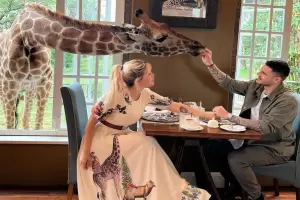 Icardi le cumpli el sueo a Wanda y la llev al exclusivo hotel de las jirafas