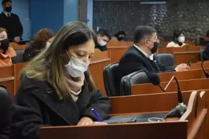 Estado parlamentario para el Registro de Fiestas Provinciales y Eventos Populares