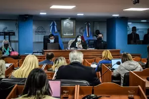 Avanz en Diputados el da provincial de las y los trabajadores esenciales de comedores y merenderos