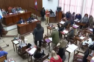 Salta: En plena sesin del Concejo Deliberante dos ladrones entraron y se llevaron una billetera