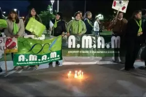 A  7 aos del primer Ni Una Menos, AMAM apuesta a "nadie menos por violencia"
