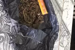 Una joven llev droga a la Comisara 10