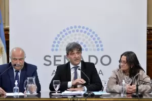 Corpacci fue designada Secretaria de la Comisin de Salud del Senado de la Nacin