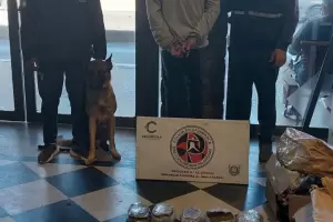 Fue a buscar dos encomiendas con ms de cinco kilos de droga y qued detenido