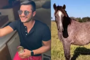 Compr un caballo en una subasta estando borracho y ahora est en problemas: No tengo dnde ponerlo