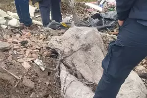 Encontraron una cabeza y restos humanos entre la basura