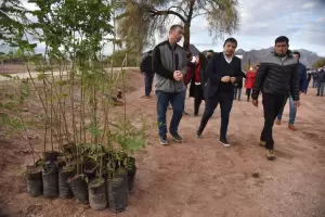 Plan de Reforestacin Urbana en Tinogasta: Se plantaran ms de 3.500 especies nativas
