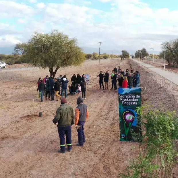 Reforestación en Tinogasta
