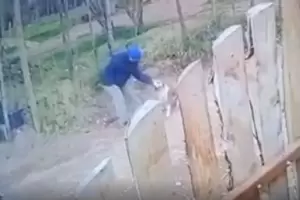 Horror en Neuqu�n: Ahorc� a un pitbull con un cable y una mujer fue su c�mplice