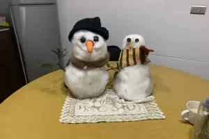 Cumplieron un ao de novios Blanca y Tito, los muecos de nieve creados en 2007 y 2021