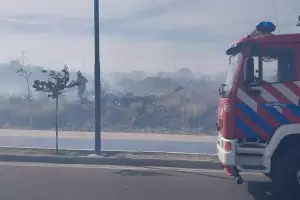 Bomberos debieron controlar incendios provocados en Avenida Bicentenario