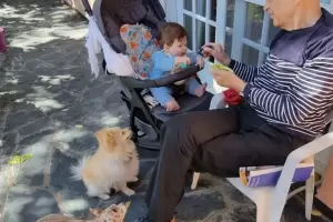 Alberto Cormillot le abri un WhatsApp a su beb de 9 meses