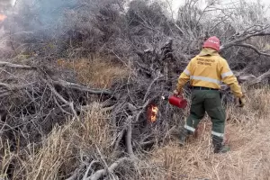 Brigada de Incendios Forestales realizaron una quema controlada en Ruta N33