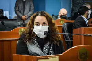 Consenso Fiscal: Con la fundamentacin de Argerich, el proyecto recibi media sancin