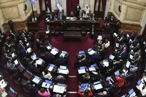 El Senado buscar convertir en ley el proyecto de alivio fiscal el 30 de junio