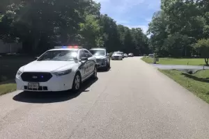 Muri un beb de 18 meses que fue encerrado en un auto y, horas despus, su pap se quit la vida