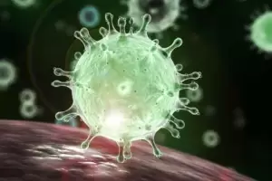 La OMS investiga nueva subvariante de micron: centaurus