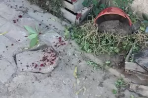 Entraron a su casa y lo atacaron brutalmente con un ladrillo