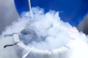 Naci el primer beb con embriones criopreservados en un hospital pblico de Argentina