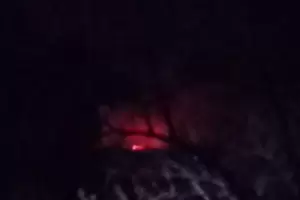 El viento zonda desat una crtica situacin de incendios forestales en la provincia