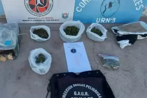 Hallaron marihuana en una encomienda