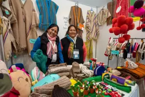 Las Hilanderas y Tejedoras catamarqueas dicen presente en la Fiesta del Poncho