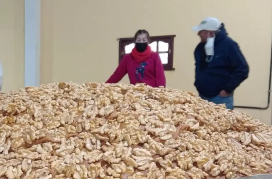 Una montaa de nueces, en la previa del armado