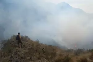 Jornadas con incendios forestales en distintos puntos de la provincia