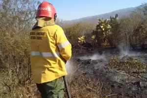 Capital, Capayn y Ambato registran incendios forestales