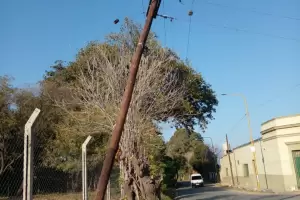 Chocaron un poste de luz y qued a punto de caer
