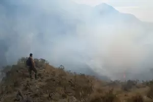 Preocupante: es la temporada ms crtica de incendios forestales en 20 aos