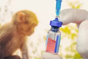 La Unin Europea autoriz el uso de la vacuna Imvanex contra la viruela del mono