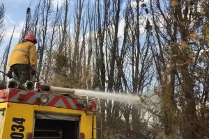 Contienen incendio forestal en Capayn