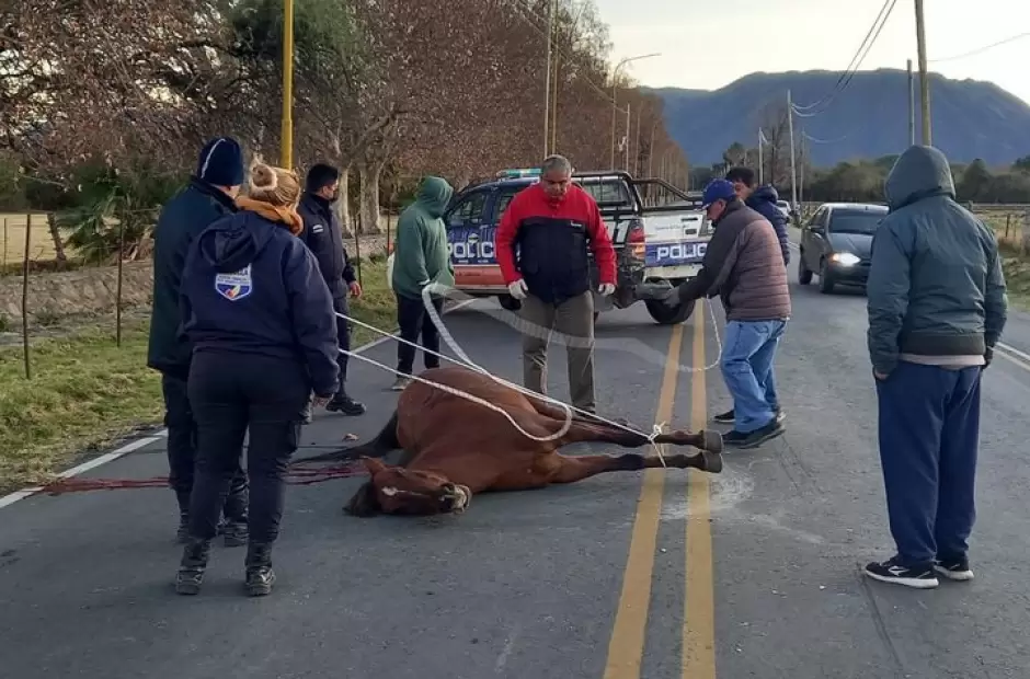 Foto gentileza Ra�l Fern�ndez