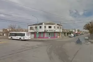 Horror: encontr a sus perros comiendo los restos de un beb