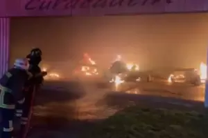 Chile: un grupo radical mapuche incendi� cuatro avionetas en La Araucan�a