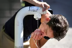 Calor extremo en los Pases Bajos: Hay escasez de agua por la sequa