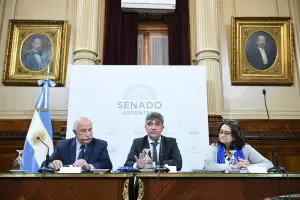 El Senado avanz con el proyecto de resistencia antimicrobiana