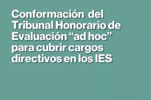 Confirmaron qui�nes integrar�n �el Tribunal Honorario de Evaluaci�n �ad hoc� para cubrir cargos directivos en los IES