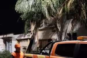 Debido a los fuertes vientos, un rbol cay sobre una casa