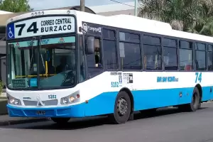 Cre un grupo de WhatsApp para que no se les pase el colectivo a sus pasajeros