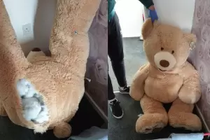 Rob un auto y para escapar, se escondi dentro de un oso de peluche