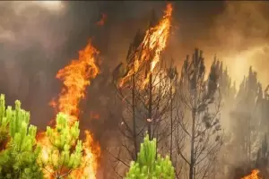 Europa sufre un verano rcord de superficie quemada por los incendios