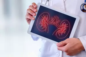 Avance cientfico para trasplantes: lograron modificar el tipo de sangre de riones de donantes