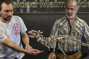 Presentaron a Jakapil, el primer dinosaurio de su tipo encontrado en el Hemisferio Sur