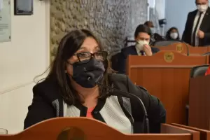 Guerrero: Cuando Cristina impulsaba las PASO, la UCR catamarquea vot en contra