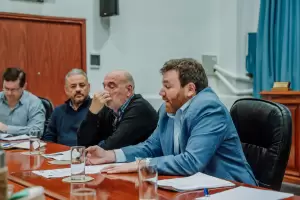 El Concejo Deliberante debati el proyecto sobre la tenencia responsable de animales domsticos