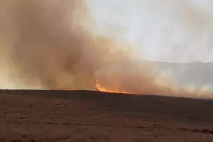 Grave incendio en Las Chacritas: a pesar de las condiciones climticas, lograron contener parte del siniestro